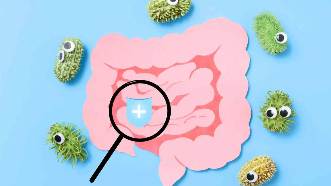 Probióticos naturales para mejorar la digestión y cuidar tu intestino desde adentro