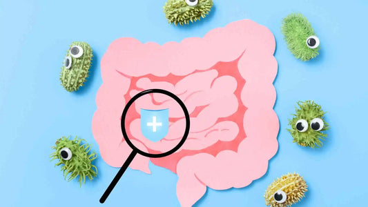 Probióticos naturales para mejorar la digestión y cuidar tu intestino desde adentro
