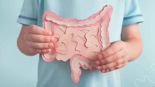Beneficios del consumo de probióticos para mejorar la salud intestinal