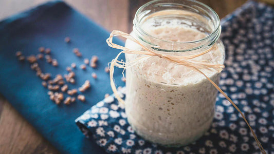 Probióticos vs prebióticos: diferencias, funciones y beneficios para tu cuerpo