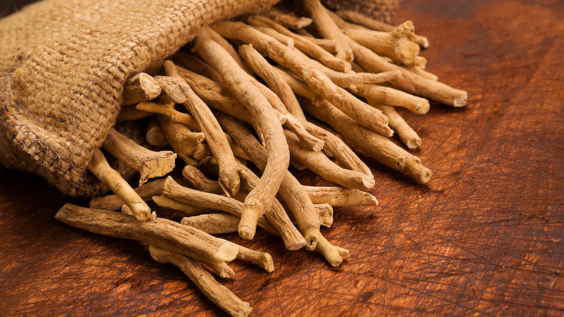Beneficios de la ashwagandha: la planta adaptógena que reduce el estrés y mejora el sueño