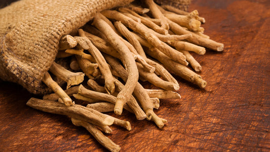 Beneficios de la ashwagandha: la planta adaptógena que reduce el estrés y mejora el sueño