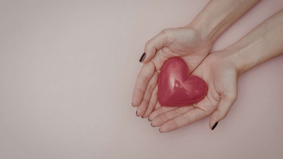 Alimentos buenos para el corazón y la circulación