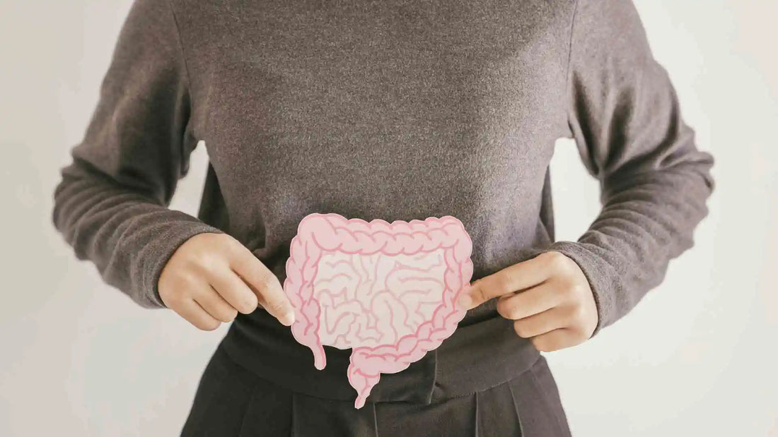 Probióticos y prebióticos: aliados naturales para tu salud intestinal