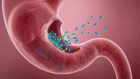 Probióticos y salud intestinal: cómo equilibrar tu microbiota