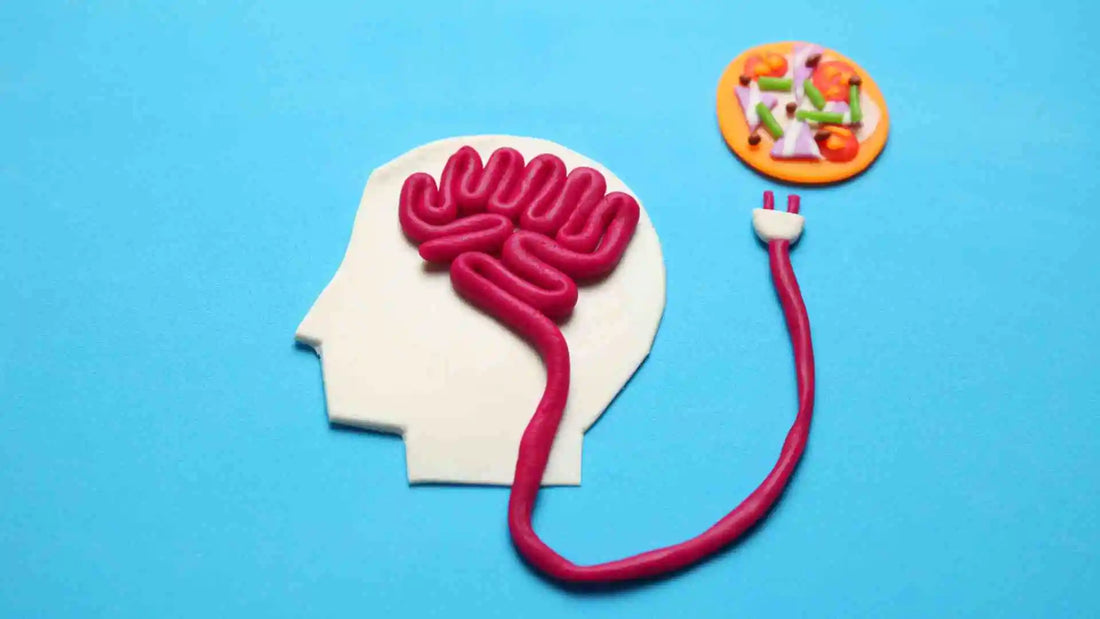 5 Vitaminas naturales para mejorar memoria y concentración