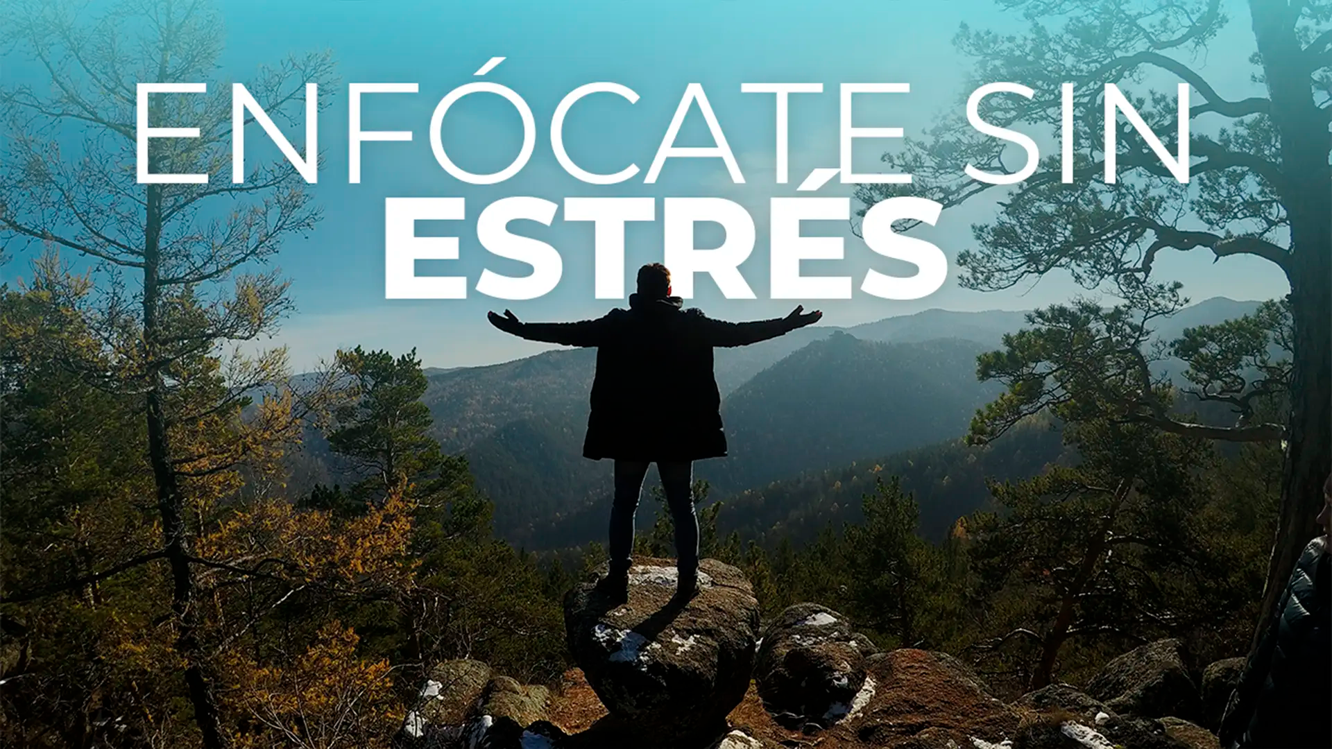 Load video: Focus Formula Stress Reduction and Natural Mental Energy